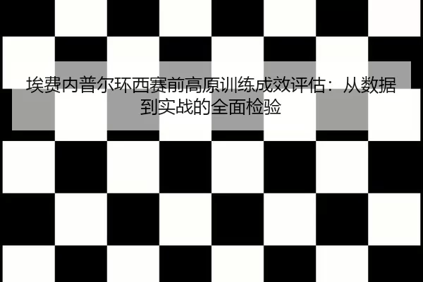 ai-fei-nei-pu-er-huan-xi-sai-qian-gao-yuan-xun-lian-cheng-xiao-ping-gu-cong-shu-ju-dao-shi-zhan-de-quan-mian-jian-yan-2-826.jpg