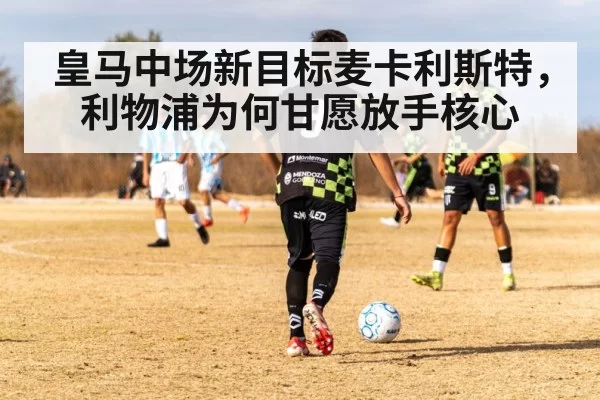 皇马中场新目标麦卡利斯特，利物浦为何甘愿放手核心