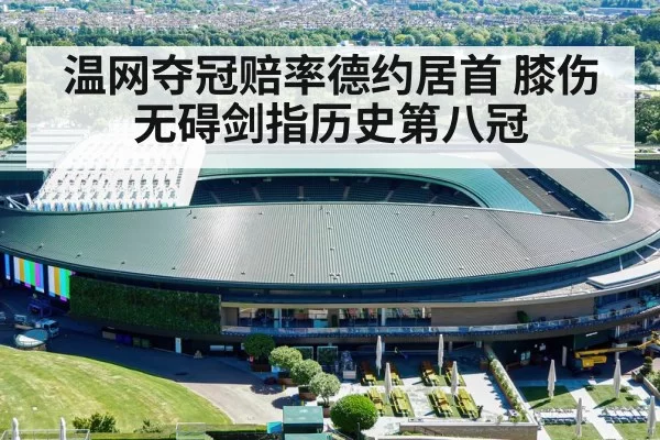 温网夺冠赔率德约居首 膝伤无碍剑指历史第八冠